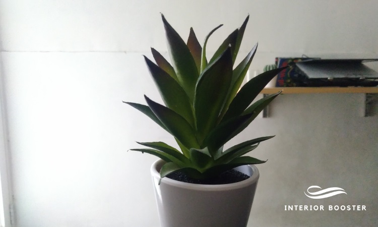 Vas dapat menjadi dekorasi interior kantor, Sumber: doc pribadi