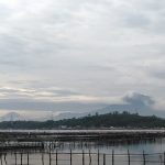 Pemandangan Rowo Jombor, Sumber : Regina Ramadhani